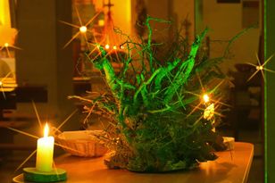 Kindergartennachten - Der neue Kastanienbaum